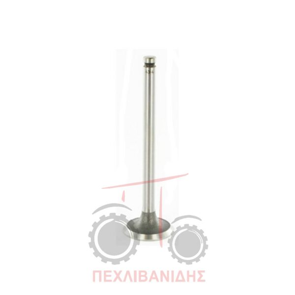 Exhaust valve 212-236-248-6354